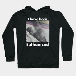 I Have Been Euthanized Funny Cat Meme Hoodie